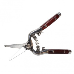 PROLINE Sekator Premium do róż, kuty, 8", drewniana rączka,  40017